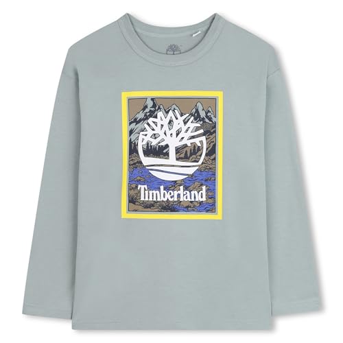 Image of Timberland Boy's T60545 T-Shirt, Silver Blue, 10 Years