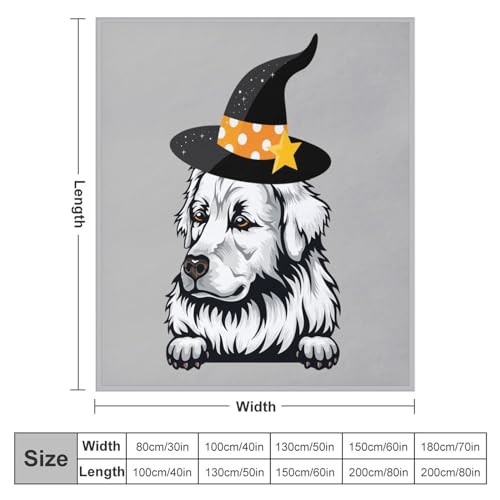 Plaid Halloween pour chat et petit chien idéal pour le canapé