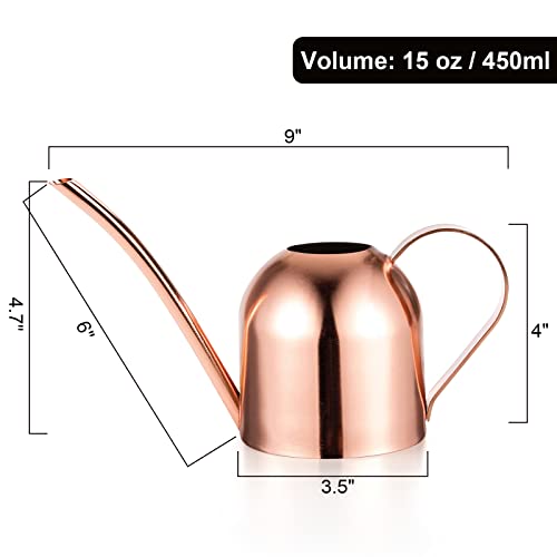 Fasmov Stainless Steel Watering Can, Small Modern Style Watering Pot, 15Oz/450Ml Watering Can With Long Spout To Prevent Spillage, Perfect Plant Watering Can For Outdoor And Indoor Plants (Copper) #TOP1
