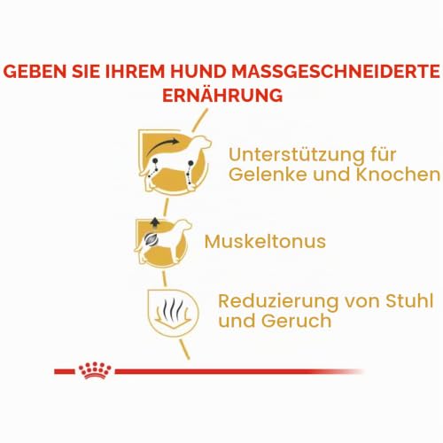 Royal Canin Dachshund Adult | 500 g | Alleinfuttermittel für ausgewachsene Dackel ab dem 10. Monat