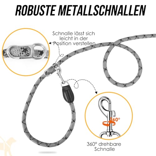 Eyein Hundeleine 3m für Kleine mittelgroße Hunde, 8in1 Schleppleine mit 3 Verstellbare Schnalle und Griffen, Reflektierende Doppelleine für 2 Hunde - Unter 100KG, Verdickte Freihandleinen, Hellgrau