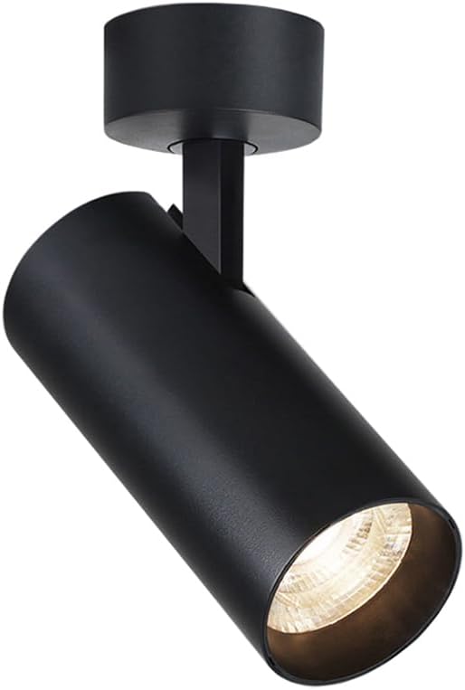 20W LED COB Ceiling Light,Surface Mount Downlight,Rotatable Lamp Head,Jewelry Picture Spotlight,Bedroom Ceiling Lamp Fixture,White Finish,4000K