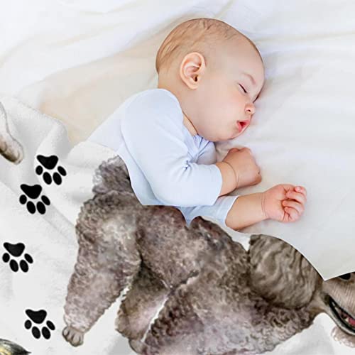 Couverture polaire microfibre bouledogue de qualité supérieure pour lit