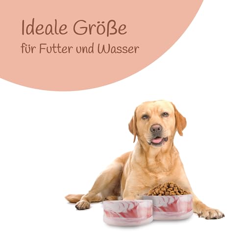 Hundenapf Keramik 2er Set (Pink / 850 ml) Napf für Kleine und Grosse Hunde - Modern rutschfeste Unterseite - Spülmaschinengeeignet - Futternapf