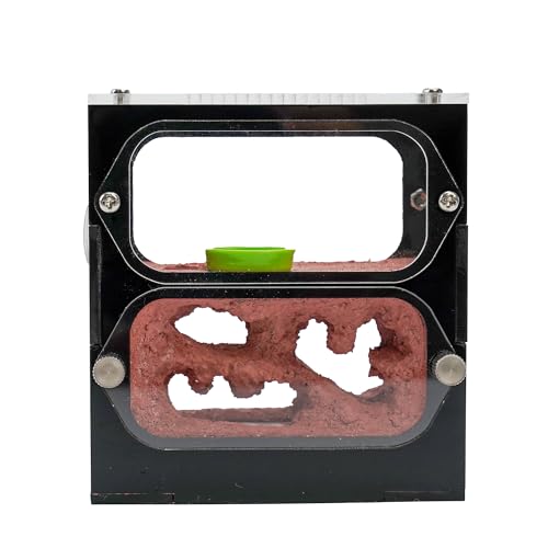 Rimsunta Ameisenfarm für lebende Ameisen - für kleine Ameisenklonie - Natürliches Lernspielzeug - Tolles Geschenk, Weiß