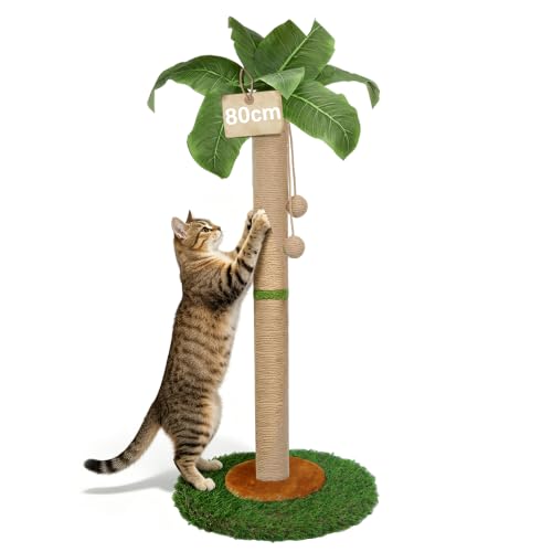 HOMYHANDS Poste rascador para gatos y gatitos de interior – Poste rascador para gatos de 80 cm de alto con cuerda de sisal, poste rascador para gatos de palmera con bola colgante (80 cm)