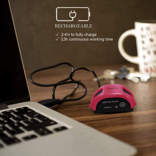 angelakerry dog fence