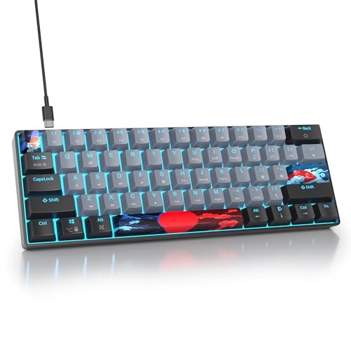 Image of Fogruaden 60% Mechanical Gaming Keyboard, 61 Keys, RGB Backlit, Compact 60 Percent Wired Keyboard for Win /Mac PC Gamer, Easy to Carry on Trip (61Dolch-BlueSwitch-RGB)