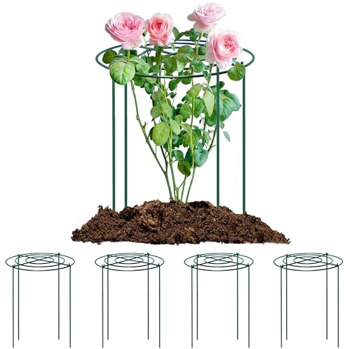 SYITCUN 4pack Peony Cages and Supports 18 x 24 Inch Four Legs Peony Cage Heavy-Duty Peonies Support Cages Peony Ring for Roses Hydrangeas Sage Peonies Cucumbers Tomato