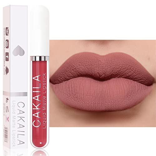 18Colors Fashion Matte Liquid Lipstick Lip Stain Makeup, 24 Hour Long Lasting Waterproof Dark Red Matte Lipsticks Lip Gloss for Women Matt Liquid Lipstick (D)
