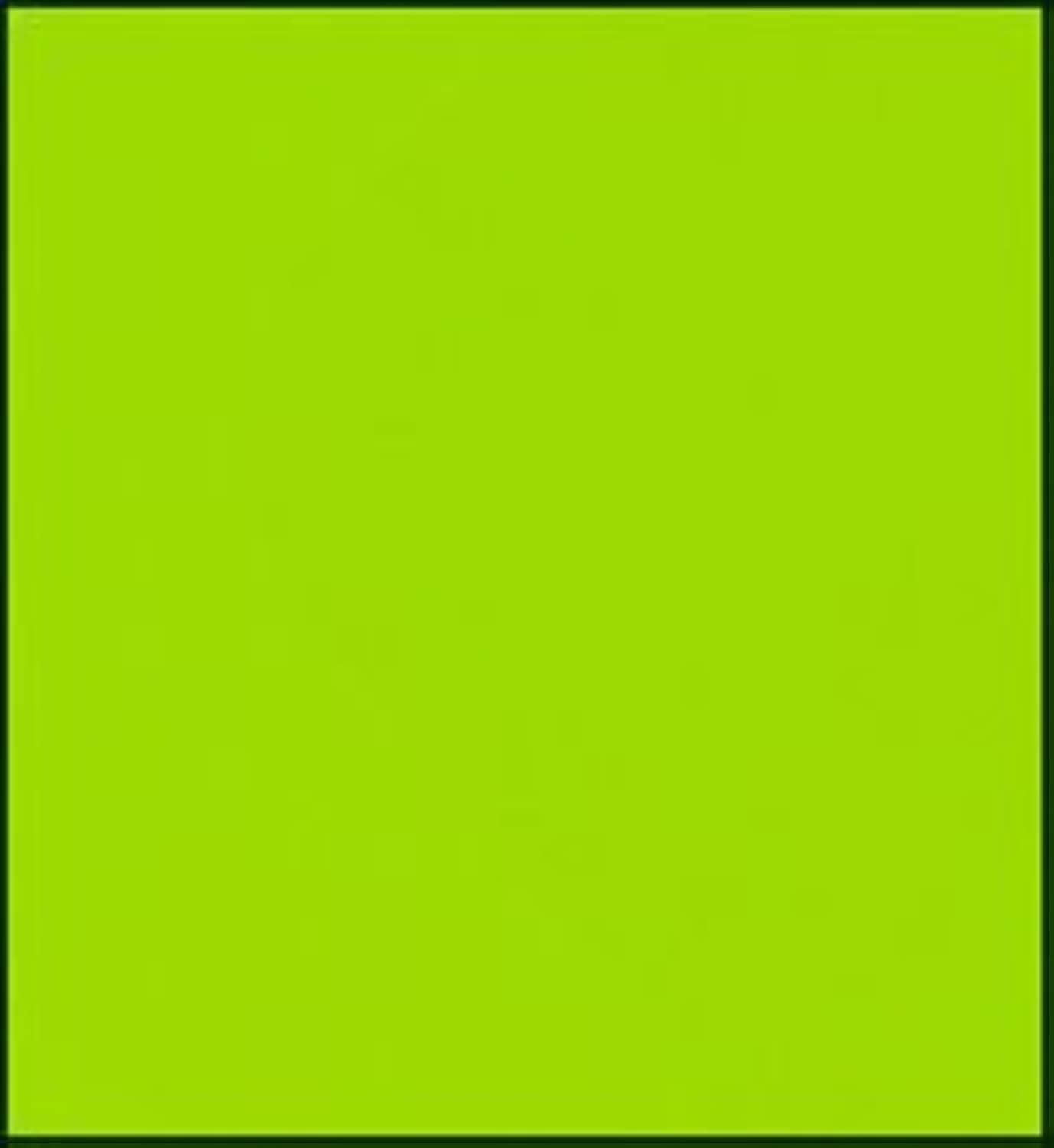 Faber-Castell Polychromos Artists' Single Pencil - Colour 170 May Green