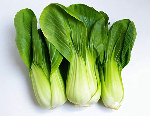 Seeds Chinese Cabbage Bok Choy Beautiful Heirloom Vegetable for Planting Non GMO