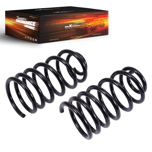 maXpeedingrods 6 inch rear lowering spring