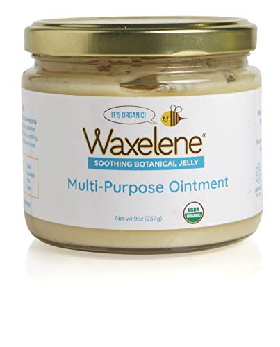 Waxelene Organic Soothing Botanical Jelly, Petroleum Free Ointment, Large Jar