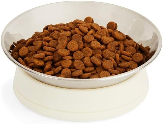 EveryYay Dining in Slanted Stainless-Steel Dog Bowl, 3 Cups