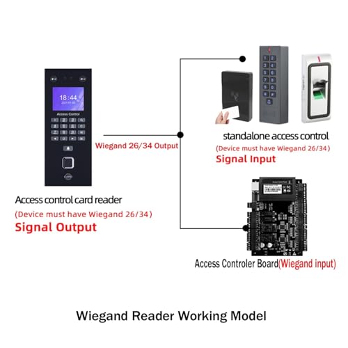 Vitamínicos, Drugstore Imagen adicional