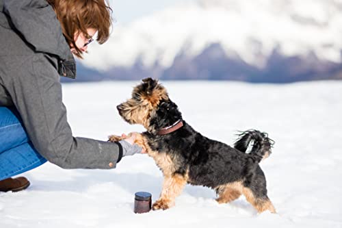 Pfotenbalsam von SonnenMoor, 90 g für Hunde und Katzen
