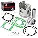 J10-11631-00-96 Top End Piston Bearing Gasket Ring kit for Yamaha G1 2-Cycle Gas Golf Cart 1978-1989 J10-11610-00-00 93310-218A6-00