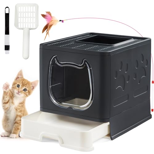 10 Best Cat Litter Boxes for HassleFree Cleanup Your Ultimate Buying