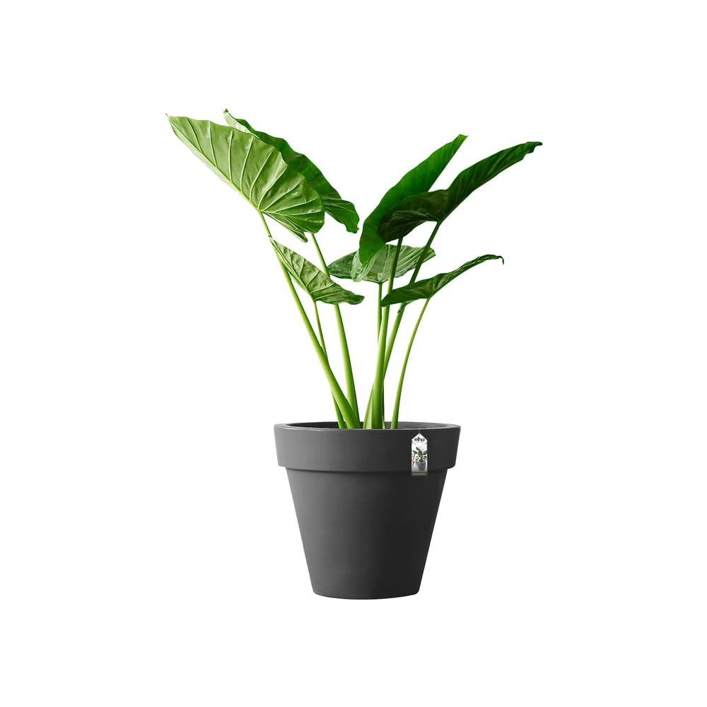 Elho Pure Round 80cm Vasi per Piante - Anthracite | ∅ 76.5 x A 70 cm