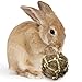 SunGrow Rabbit Teeth Coconut Fiber Ball, 2.5-3 Inches, Floss Ball Improves Dental Health, Stress Relieving, Lightweight, Ideal for Pocket Pet