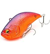 Amazon.co.jp: レイドジャパン(Raid Japan) レベルバイブBIG 013