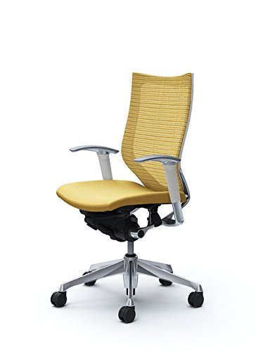 オカムラ 岡村製作所 デスクチェア オフィスチェア バロン ハイバック 可動肘 座クッション ベージュ CP85BW-FEF7