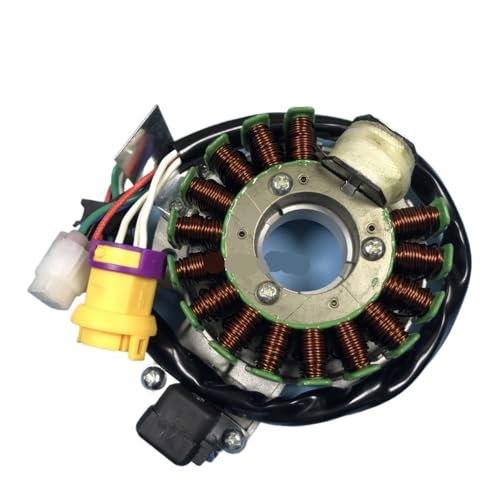 Stator de magnéto 16 bobines alternateur quad 250CC pièces JS250