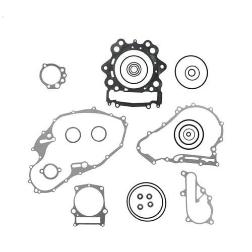 Joint Moteur d'Étanchéité Haute Résistance et Joints de Queue de Soupape Raptor 700