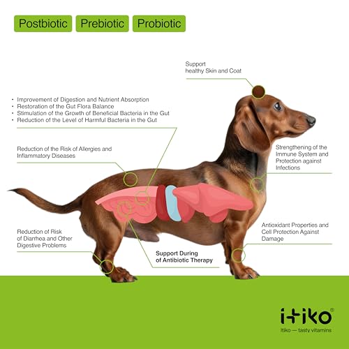 ITIKO Natürliche Verdauungs für Hunde | Flohsamenschalen mit Probiotika Hund | Darmflora Aufbau Hund | Alternative zu Heilerde/Heilmoor für Hunde | Durchfall Nahrungsergänzungsmittel