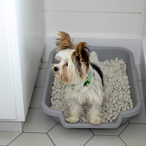 Image of Natural Paper Dog Litter