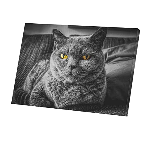 Tableau chat Chartreux cadeau idéal pour passionné de félins