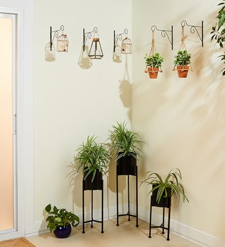Image of Amazon Brand - Solimo Plant Hanger Brackets Wall Mounted Metal Hanging Hooks /Holder for Indoor Outdoor Planters (Black, Set of 8)