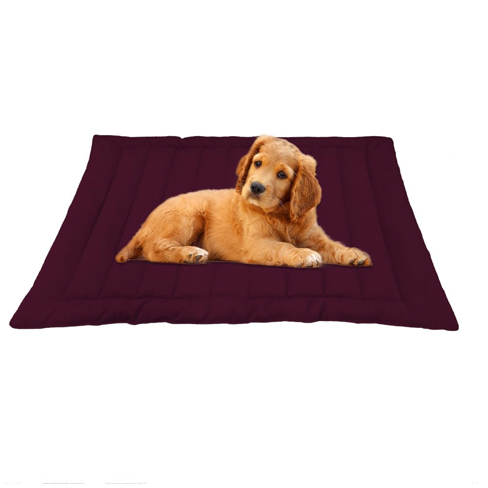 I WISH Quilted Pet Bed Mattress | Washable Pet Bed| Light Weighted Dog Flat Mat (Medium) 100 x 66 cm (Maroon) (B0C85KJN9V) Amazon Price History, Amazon Price Tracker