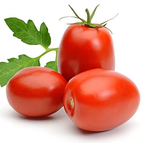 Tomato Plants, 'Plum Roma', 4 x Large Plug Plant Pack, Tomato Plants Ready to Plant Now, Tomatoes, Fresh and Sweet, Gardeners Favourite, Excellent Flavour, Garden Ready, Premium Quality Tomatoes