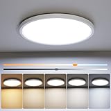 NIORSUN LED Flush Mount
