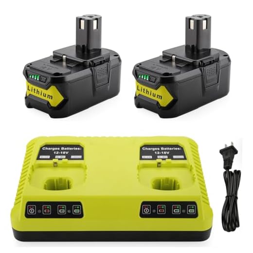 AYTXTG 2Pack 6.0Ah Replacement P108 Lithium Ryobi 18V Battery + P117 Ryobi Dual Charger Li-ion & Ni-cad for Ryobi Oneplus Battery P100 P102 P103 P105 P107 P108 P118 Ryobi 18v Battery Charger