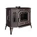 Imagen de estufa de leña independiente de hierro fundido negro