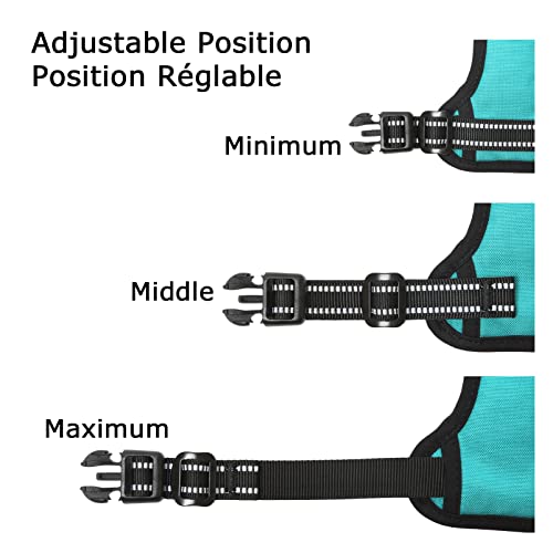 Image of HEELE Dog Harness, No Pull Adjustable Padded Reflective Harness for Small Medium Large Dogs with Handle for Walking Training,Turquoise, M