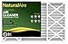 Flanders PrecisionAire 82655.062025 NaturalAire Air Cleaner, 2 Count (Pack of 1)