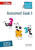 Busy Ant Maths ― Assessment Guide 3