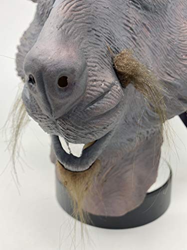 Photo complémentaire