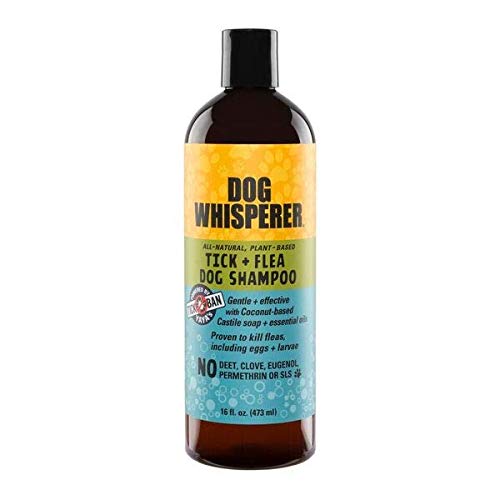 DOG WHISPERER Tick + Flea Dog Shampoo, Proven Effective, All-Natural, Gentle with Coconut-Based Castile Soap and Essential Oils (16 ounces)
