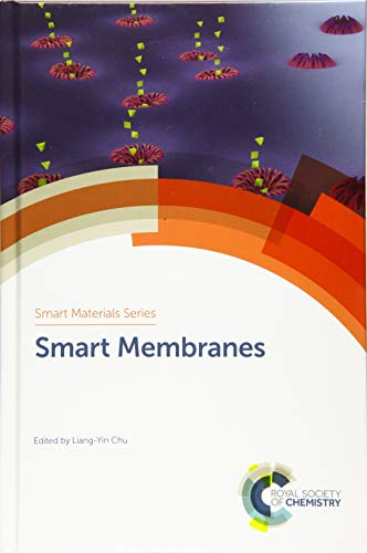 Smart Membranes view 2