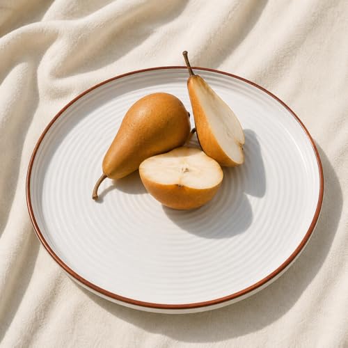 Image of TRESA Stoneware Ceramic Dinner Plate | White with Brown Rim |10.5 Inch, Matte Finish, Cafe Style Textured Round Plate for Everyday Use
