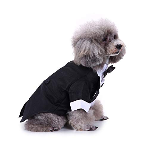 Stylish Dog Tuxedo for Weddings, Vintage Cross-Border Outfit, Luxury Cotton Evening Dresses with Bandana for Cats and Dogs, Fashionable Pet Apparel (Black, Small)