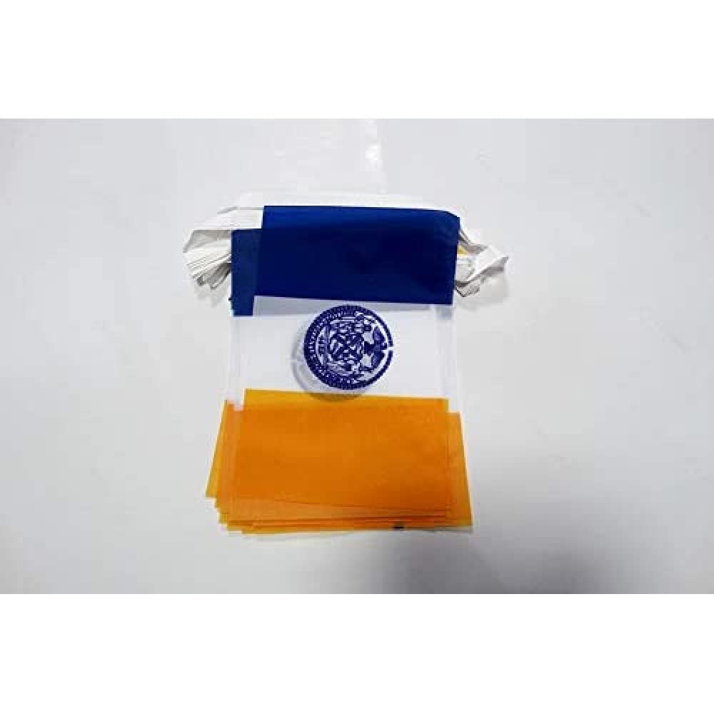 AZ FLAG New York City Bunting 20 ft 20 flags Light Polyester