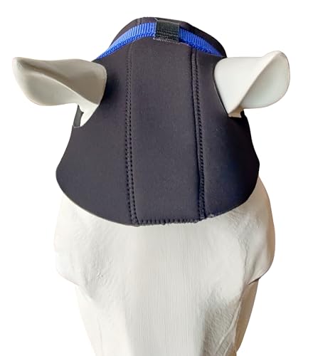 HUNTERS SADDLERY Comfort Poll Guard für Pferde – Entlastung des Kopfschüttels, Halfter Zaumzeug Druckreduzierung, stabiler Reise-Kopfschutz – Cob volle Größe