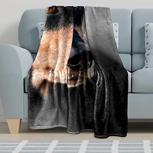Couvertures chaudes et douces en microfibre premium noire