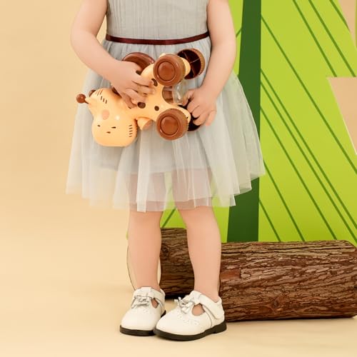 WUIWUIYU Baby Toddler Girls Leather Oxfords Tassel T-Strap Mary Jane Dress Shoes Fringe Soft Flats Wedding Party Casual Walking School Shoes3